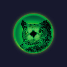 Load image into Gallery viewer, Wingman UFO Flying Disc