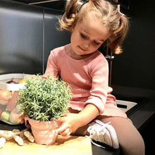 Load image into Gallery viewer, Scrunch Seedling Pot and Trowel - Sage