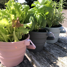 Load image into Gallery viewer, Scrunch Seedling Pot and Trowel - Sage
