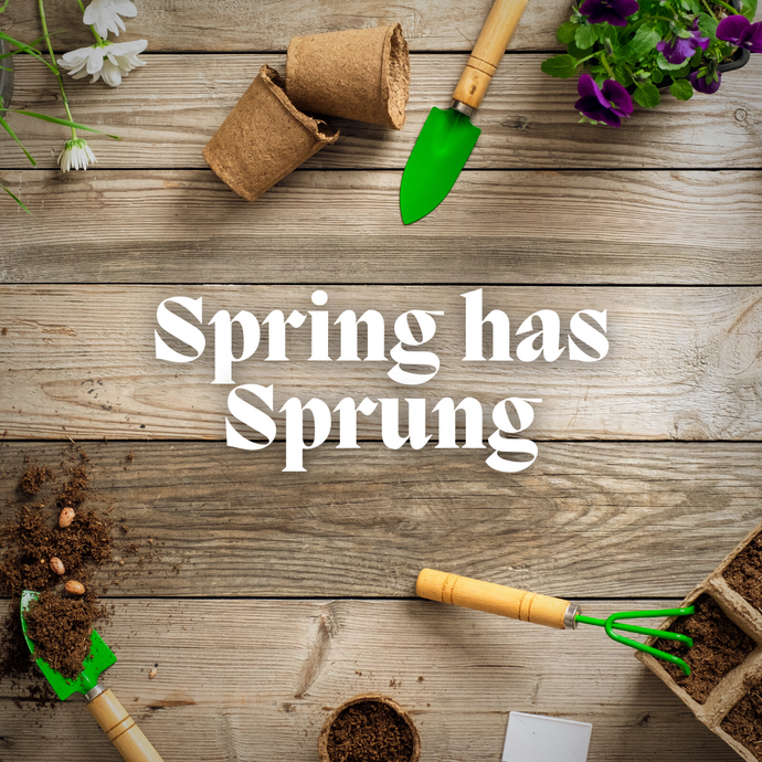 Spring has Sprung - But will my Garden?