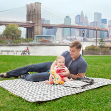 Load image into Gallery viewer, Skip Hop Central Park Outdoor Blanket and Cooler
