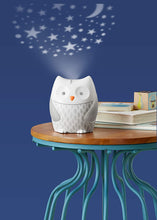 Load image into Gallery viewer, Skip Hop Moonlight and Melodies Nightlight Soother - Owl
